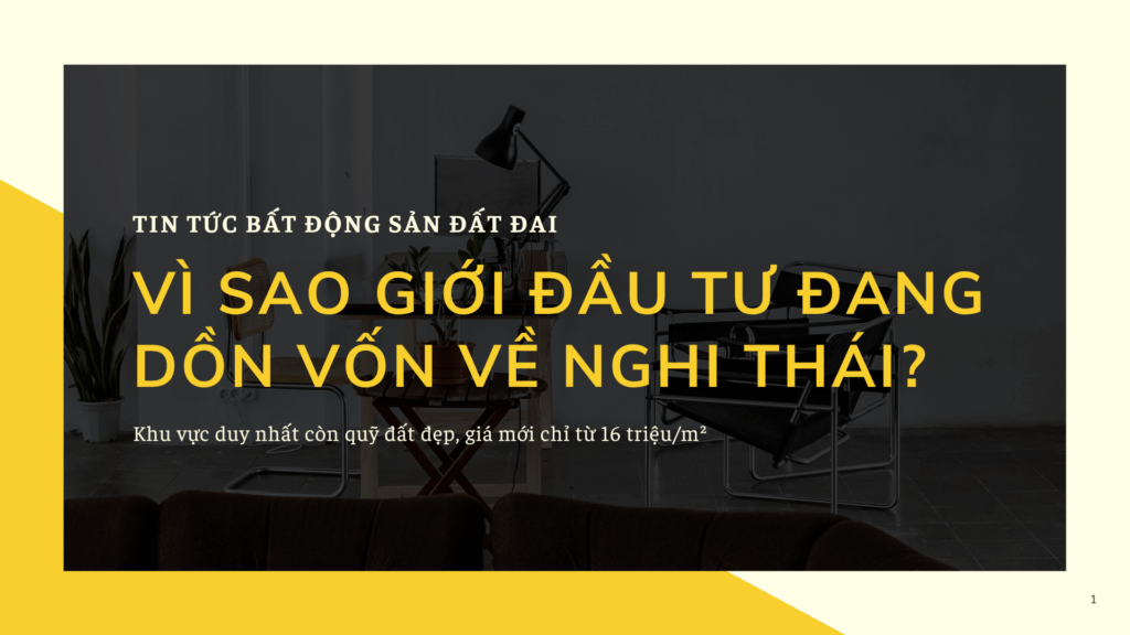 Đất Nghi Thái Vinh mới nhất 2025-2026