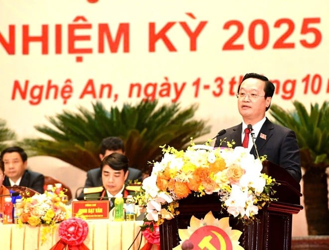 bất động sản nghệ an 2025 - NgheTinhLands 3